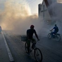 Cuba reports more Zika virus cases